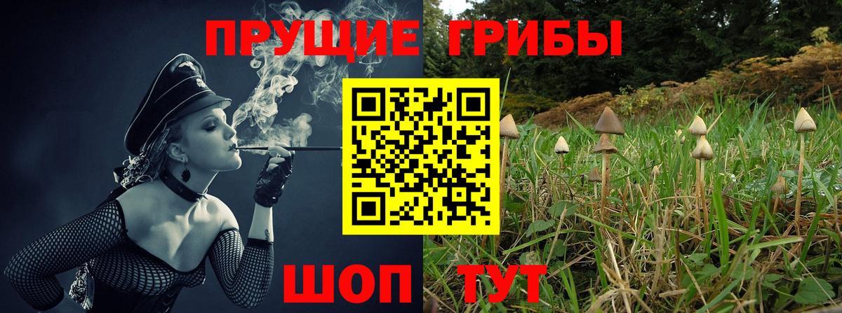 Галлюциногенные грибы мицелий Боровичи